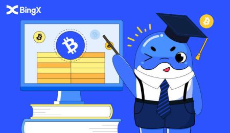 How to Contact BingX Support